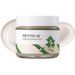 Round Lab Mugwort Calming Cream Výživný krém na obličej 80 ml – Zbozi.Blesk.cz