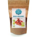 Altevita Bio Reishi prášek 60 g – Hledejceny.cz