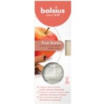 Bolsius aroma difuzér mango 45 ml – Hledejceny.cz