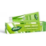 Dabur Ajurvédská s Aloe Vera 100 ml – Hledejceny.cz