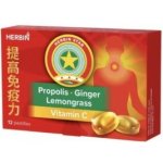 Herbin Propolis, zázvor, voňatka, vitamin C 12 pastilek – Hledejceny.cz