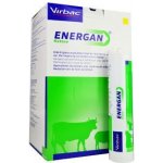 VIRBAC Energan Ketose 12x300 g – Hledejceny.cz