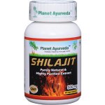 Planet Ayurveda Shilajit Mumio extrakt 6:1 500 mg 60 kapslí – Hledejceny.cz