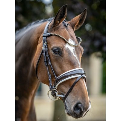LeMieux Kudos Patent Dressage Brown/White drezurní – Hledejceny.cz