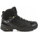 Salewa MS Alp Trainer 2 Mid GTX M 613820971 – Hledejceny.cz