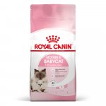 Royal Canin Mother & BabyCat 2 x 10 kg – Hledejceny.cz