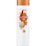 Unilever Sunsilk šampon s arganovým a mandlovým olejem 250 ml – Hledejceny.cz