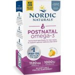 Nordic Naturals Postnatální Omega 3 60 softgel kapslí – Hledejceny.cz