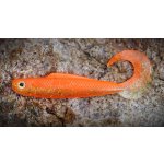 RedBass Twister Kixter Black / Signal Orange UV COLOR L 100 mm – Zboží Dáma