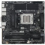 Asus PRO WS B850M-ACE SE 90MB1MN0-M0EAY0 – Zboží Živě