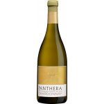 Hess Panthera Chardonnay 2021 Bílé 14,8% 0,75 l (holá láhev) – Hledejceny.cz