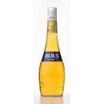 Bols Banana 17% 0,7 l (holá láhev) – Zboží Dáma