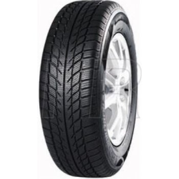 Goodride SW608 205/50 R17 93H