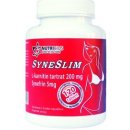 Nutricius Syneslim 120 tablet