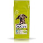 Purina Dog Chow Adult Large Breed Turkey & Rice 14 kg – Zboží Mobilmania