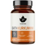 Puhdistamo Kurkumin CurQfen 335 mg, 60 kapslí – Hledejceny.cz