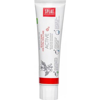 Splat zubní pasta Active 100 ml