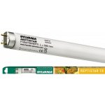 Zářivka Sylvania REPTISTAR T8, 18 W, 590mm – Sleviste.cz