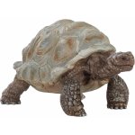 Schleich 14824 Wild Life Giant tortoise – Hledejceny.cz