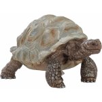 Schleich 14824 Wild Life Giant tortoise – Zboží Dáma