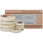Stoneglow Vonný vosk do aromalampy Wild Mint Bergamot 10 ks 124 g přírodní barva vosk – Hledejceny.cz