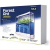 Mravenčí farmy Forest Ant Ecoterrarium