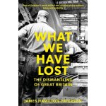 What We Have Lost: The Dismantling of Great Britain Hamilton-Paterson JamesPaperback – Hledejceny.cz