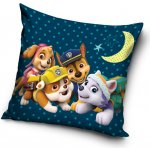 Carbotex Tlapková patrola Noční hlídka 40 x 40 cm – Zboží Mobilmania