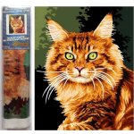 Norimpex Diamantové malování Zrzavá kočka 30 x 40 cm – Sleviste.cz