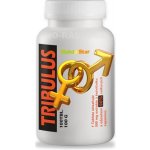 Nutristar Tribulus E Kotvičník 100 tablet – Hledejceny.cz