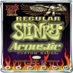 Ernie Ball 2146 – Sleviste.cz
