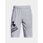 Under Armour Prototype 2.0 Logo Shorts