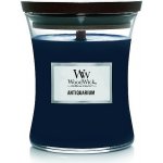 WoodWick Antiquarium 275 g – Zbozi.Blesk.cz