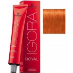 Schwarzkopf Igora Royal Intenzivní měděná světlá blond 8-77 60 ml – Zbozi.Blesk.cz