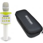 Bontempi Mikrofon bezdrátový karaoke v pouzdrře na baterie USB – Hledejceny.cz