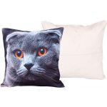 Vesna Darlan pink 40 x 40 cm – Zboží Dáma