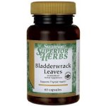 Swanson Bladderwrack Chaluha bublinatá 60 kapslí – Hledejceny.cz