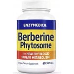 Enzymedica Berberine Phytosome zdravý metabolismus 60 kapslí – Hledejceny.cz