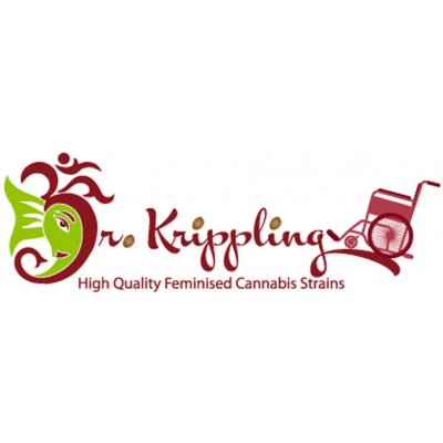 Dr. Krippling Seeds D'oh Si D'ohpe semena neobsahují THC 10 ks – Hledejceny.cz