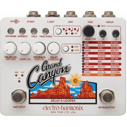 Electro Harmonix Grand Canyon Delay & Looper