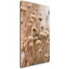 Obraz Impresi Obraz Skandinávský styl suchá tráva - 30 x 50 cm