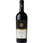 Femar Vini Gran Appasso Primitivo Appassimento 2020 16% 0,75 l (holá láhev) – Hledejceny.cz