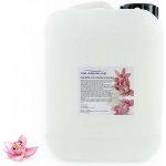 PM Aqualog esence do parních kabin orchidej 862-005/D 5 l – Hledejceny.cz