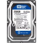 WD Caviar Blue 250GB, SATAII, 7200rpm, 16MB, WD2500AAKS – Hledejceny.cz