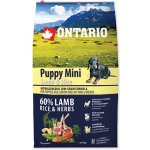 Ontario Adult Mini Lamb & Rice 0,75 kg – Hledejceny.cz