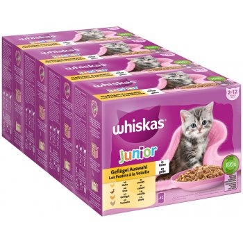 Whiskas Junior drůbeží výběr v želé 48 x 85 g