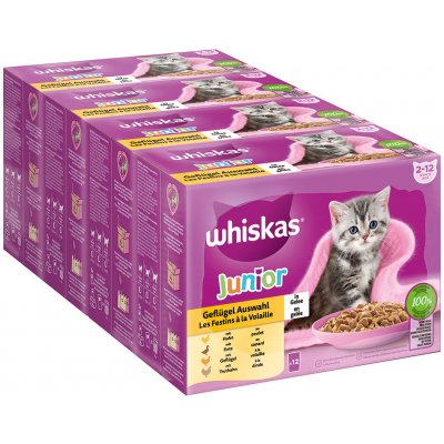 Whiskas Junior drůbeží výběr v želé 48 x 85 g