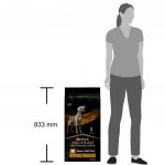 Pro Plan Veterinary Diets NF Renal Function 12 kg – Hledejceny.cz