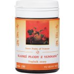 TCM Herbs Sladké plody z Yunnanu 100 tablet – Hledejceny.cz