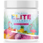 Collango ELITE KOLAGEN + kyselina hyaluronová Kolagen typu I, II, III, V karibské ovoce 339g – Hledejceny.cz